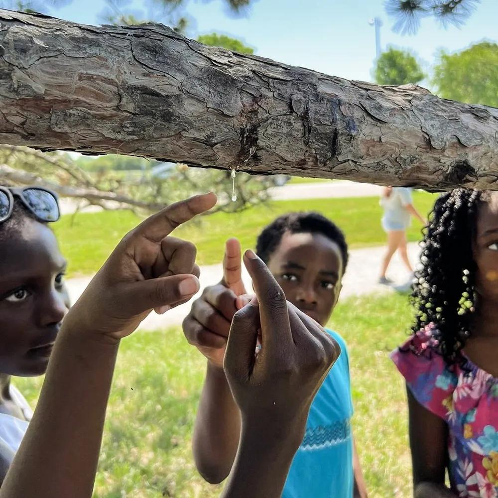 Kids pointing at a branch